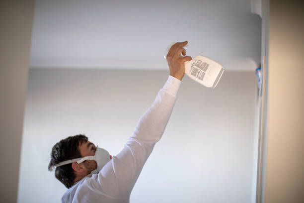 Best Professional Mold Removal  in Coshocton, OH